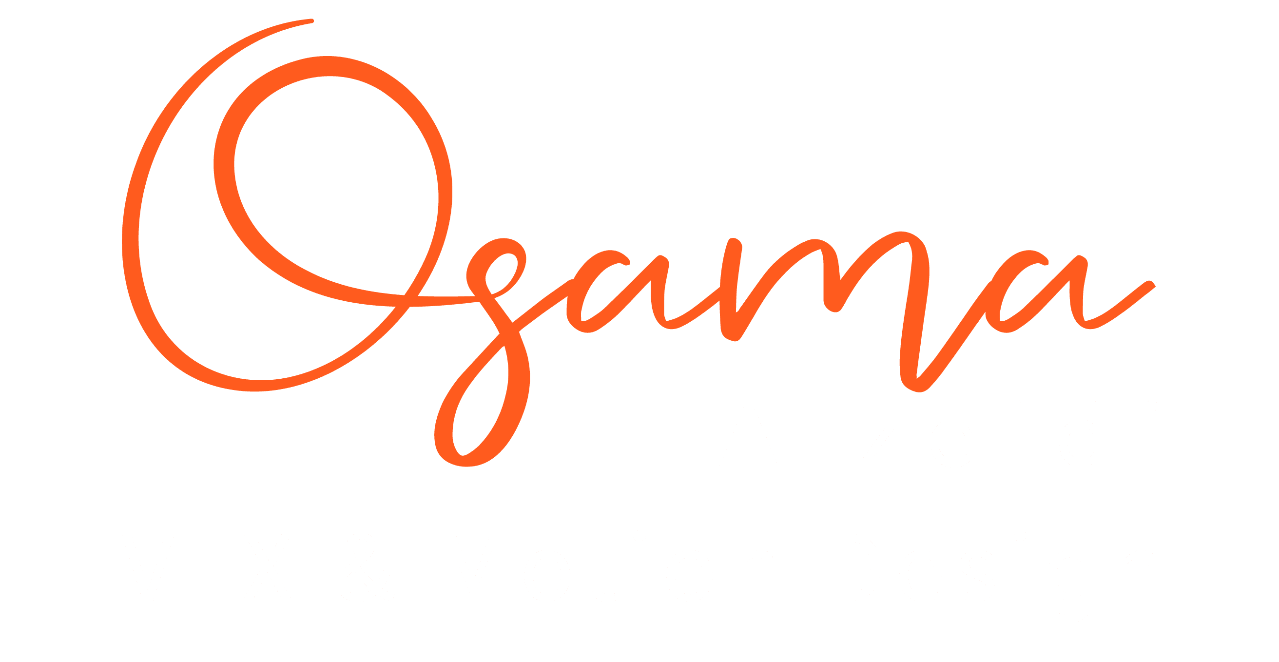 Osama Alzeidi